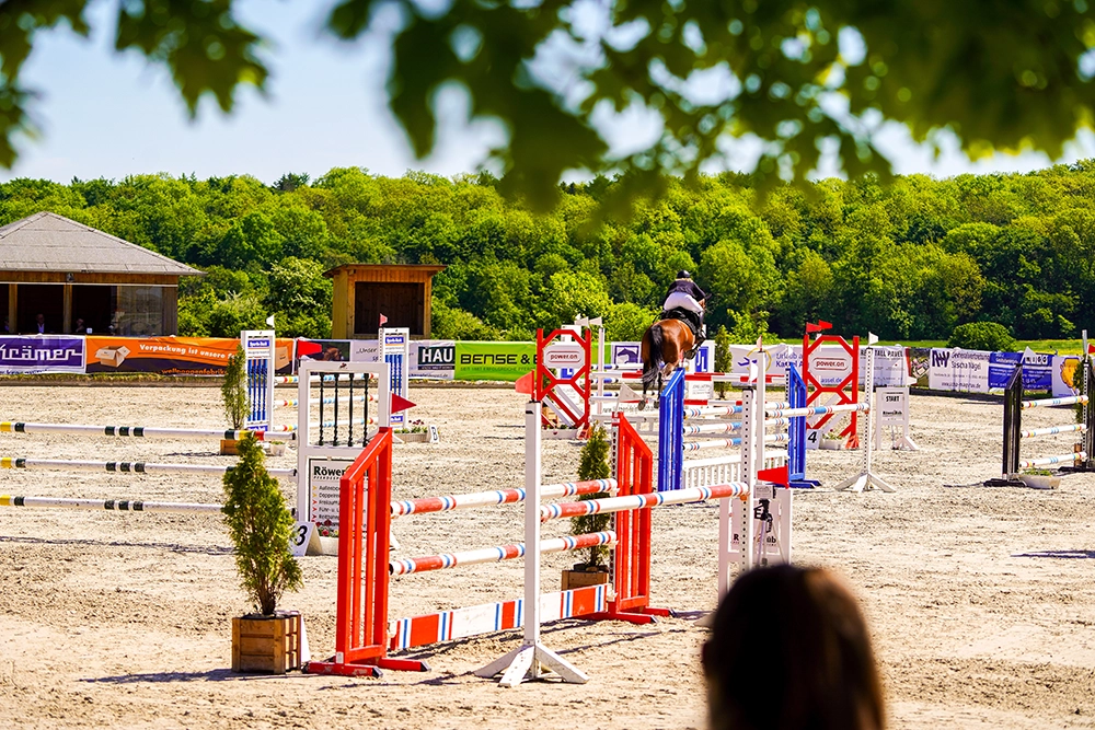 Reiterin und Pferd von hinten über ein Hindernis springend auf dem Reitplatz.