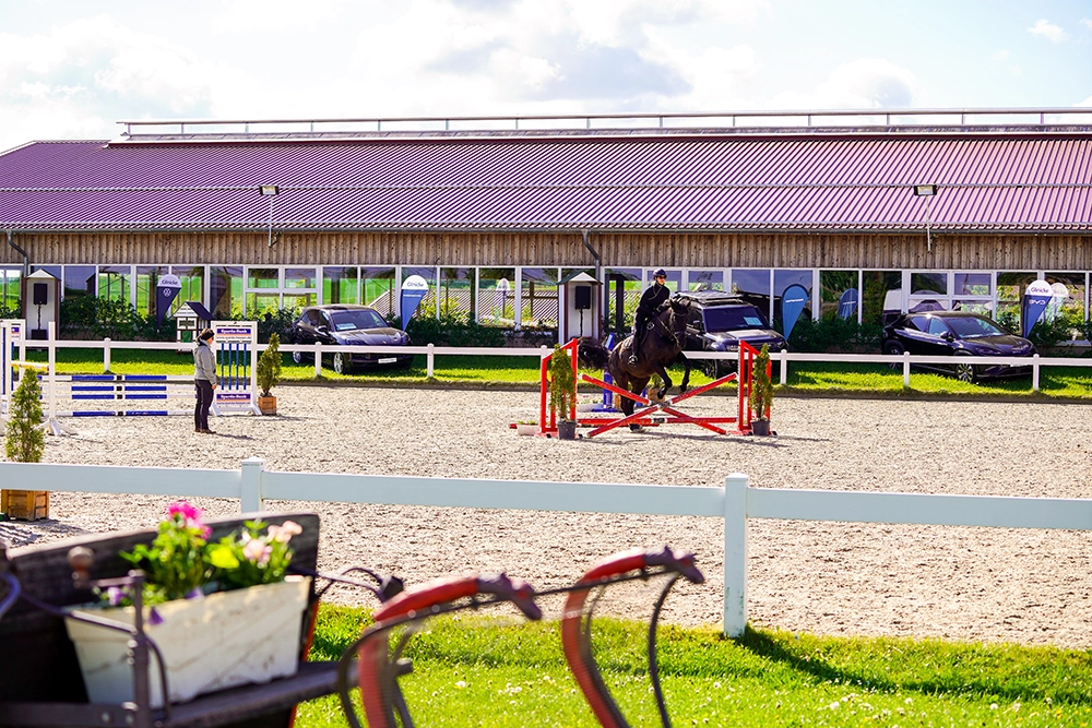 Reiterin auf schwarzem Pferd auf Reitplatz unter blauem Himmel
