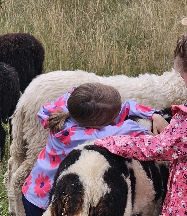 Kinder kuscheln mit Schafen.