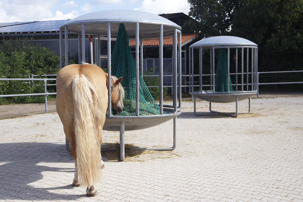 Pferd frisst aus einer freistehenden Fütterungsanlage.