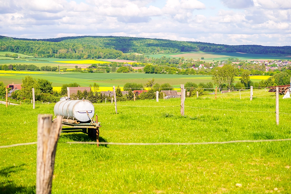 Weitläufige Weidenlandschaft mit Blick in die grüne Region.