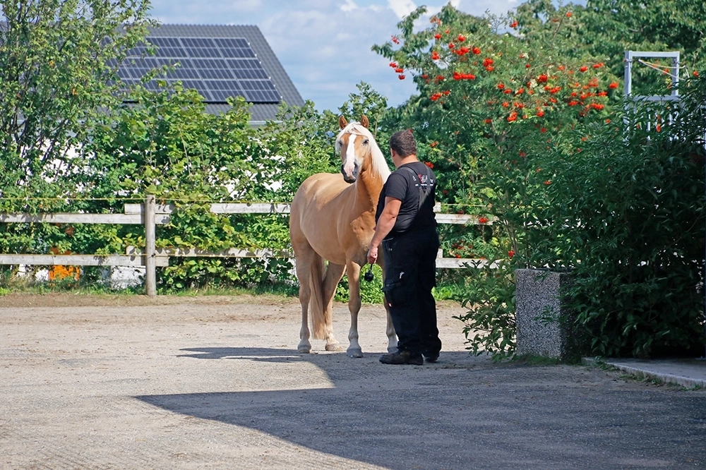 Mitarbeiter Rene geht mit einem Pferd über den Hof.