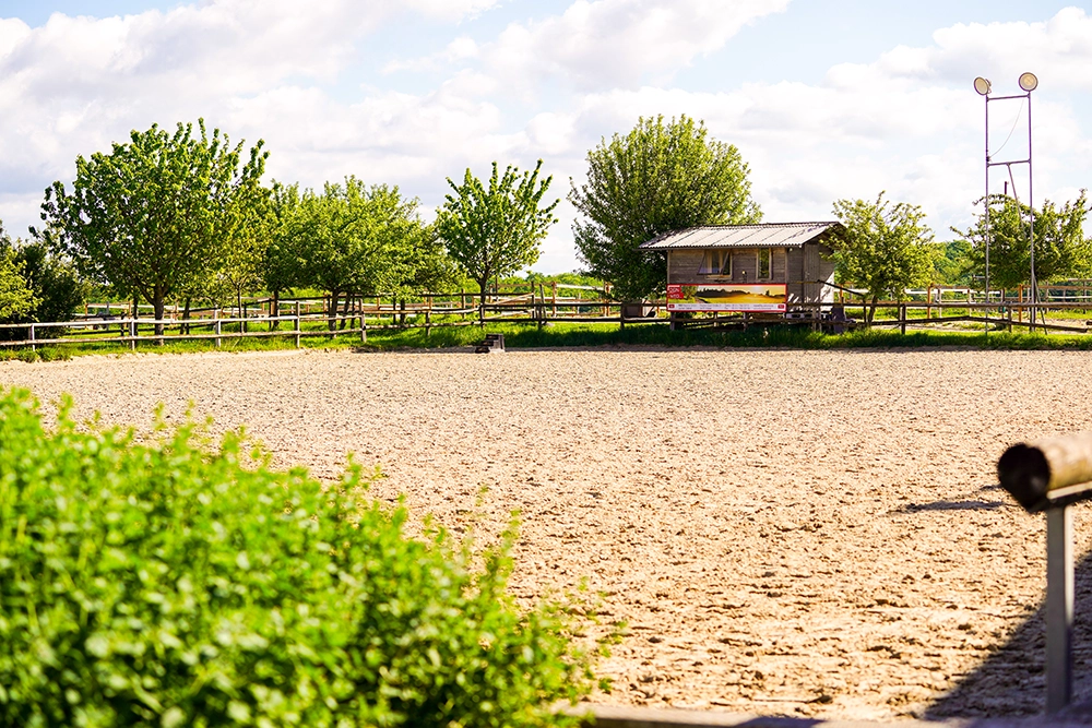 Reitplatz umgeben von Grün.