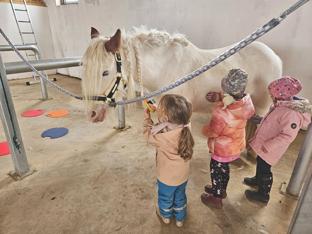 Kinder kümmern sich um Pony.